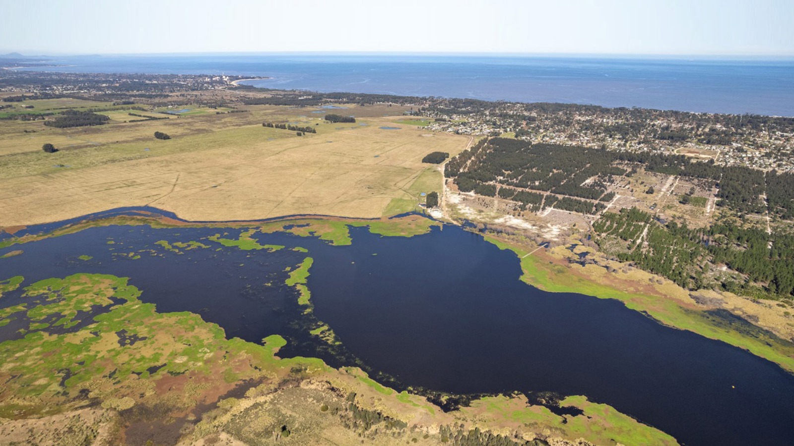 Vista aérea de Laguna del Cisne